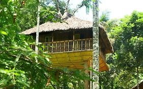 Kalidasa Tree House And Villa, Wayanad